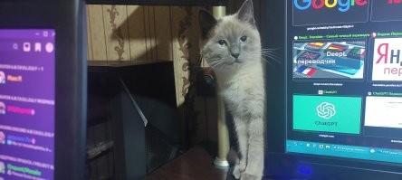 Хозяин, я рядом!