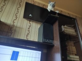 "Высоко сижу - далеко гляжу"...