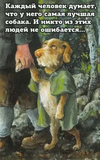 Названы самые красивые породы собак по принципу золотого сечения