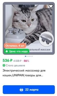 Кот остался доволен подарком