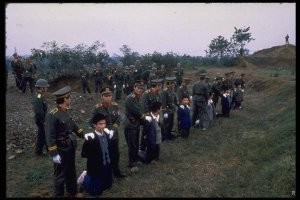Давно пора воспользоваться опытом китайских товарищей...