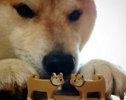 "Мы встречаемся!": Шаман и Мизулина со сцены объявили себя парой