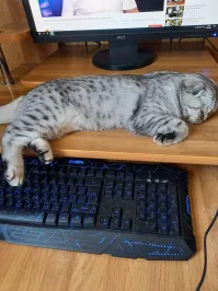 У меня вот так постоянно