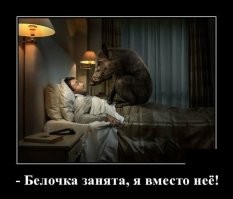 Как кричат белки