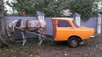 Дилерская сеть «Рольф» хочет выпустить собственный народный автомобиль