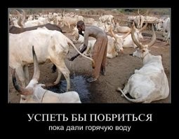 Народ химба: загадочное племя, чьи женщины никогда не моются, но не имеют запаха тела