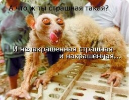 Краснодарская блогерша решила «хайпануть», выдумала историю об изнасиловании и поплатилась