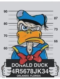 В США «задержали» утку, которая случайно пробралась на территорию тюрьмы