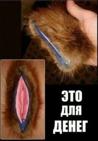 Большая тарелка улыбатора