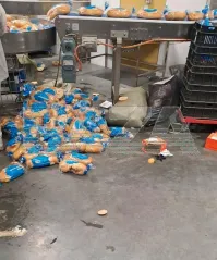 Можно подумать хлеб который в упаковке сразу из печи в ней появляется. Но с учетом того что хлеб в упаковке лежит недели 3 и не плесневеет и не черствеет, ну его нафиг такой "хлебушек", сколько там элементов таблицы Менделеева? Уж лучше я хлебушка без упаковки куплю. Работник кстати вполне себе опрятно выглядит. Не грязный, не чумазый. Ну а вот какие батоны бывают в упаковке.
В поисковике вбивать: На главном хлебокомбинате Екатеринбурга рабочие-иностранцы ходили по батонам: фото