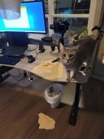 Это мороженое? Которое успело растаять за пару секунд? ))
Кто-то бессовестно врёт, по-моему.