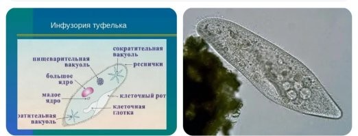 Найден Ноев ковчег? Геологическая структура в форме лодки появилась в Турции 5000 лет назад