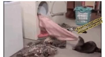 Просто гифки, всякие и&nbsp;разные