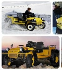 Ну да. 
Обычную рабочую лошадку за вменяемые деньги. 
На которую можно даже накопить, не смотря на инфляцию. 
А не кредит брать, по которому, лет десять назад, можно было квартиру в Москве купить. 

Ну или он должен быть совсем простой, как половина табуретки и стоить примерно столько. 

Вот прям примитивный, на уровне "мотоколяски", ну может чуть современнее. 
Где-нибудь на селе ездить. Да и просто, как "мопед с крышей и печкой" на четырёх колёсах по городу в пробках стоять. 

Дёшево и очень сердито. С ремонтом в поле тремя ключами, один из которых от замка зажигания. 

Вон, начали Кинешму делать в 90-е. Но загнулось, к сожалению.