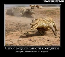 Мужчина с топором пытался напасть на крокодила
