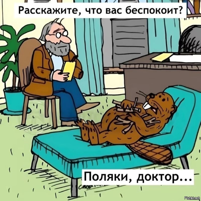 В Словакии бобр построил плотину, которая может оставить без воды пять тысяч жителей