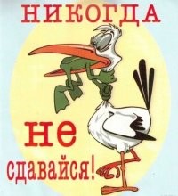 Осьминог смог за себя постоять