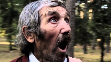 В Словакии бобр построил плотину, которая может оставить без воды пять тысяч жителей