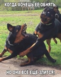 Большая тарелка улыбатора