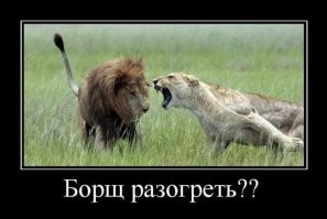 Большая тарелка улыбатора