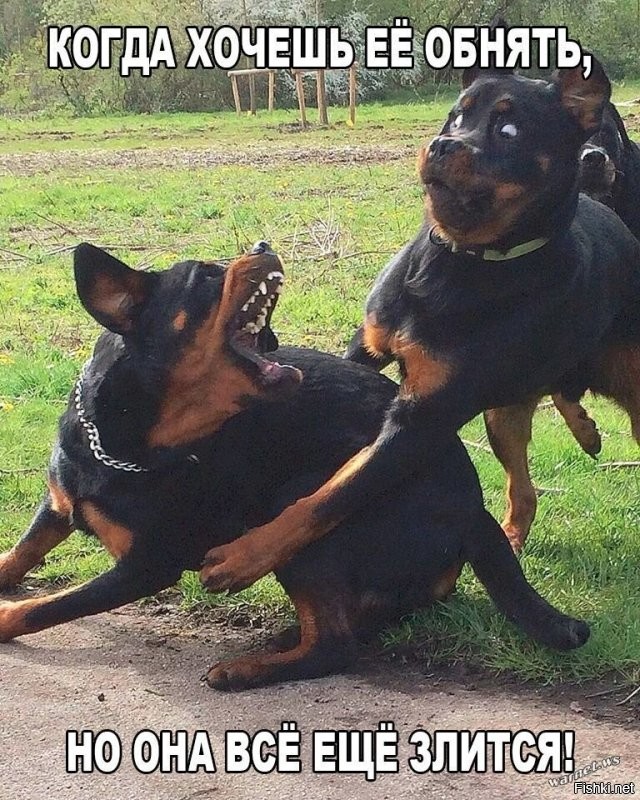 Большая тарелка улыбатора