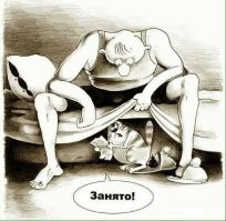 18 котиков, которых поймали с поличным и пристыдили, но они нисколько не сожалеют о своих преступлениях
