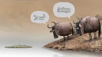 Антилопа гну чуть не стала добычей крокодила