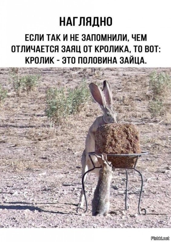 Напомнило: