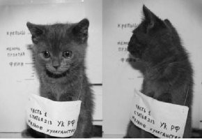 По малолетке пошел