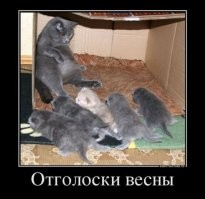 Уставшая и счастливая мама