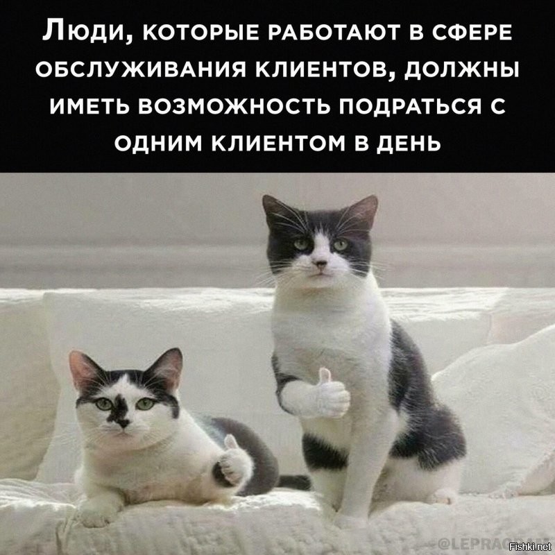 Солянка от 14.03.2025