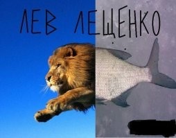 Скрины из соцсетей&nbsp;&nbsp;&nbsp;&nbsp;&nbsp;&nbsp;&nbsp;&nbsp;&nbsp;&nbsp;&nbsp;&nbsp;