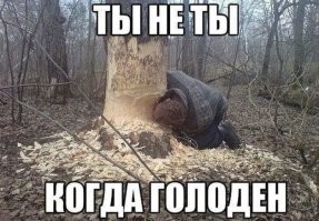 Мужчина прямо у прилавка с фруктами "обглодал" веточки винограда