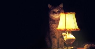 Они существуют! 26 жутких фотографий реальных привидений!