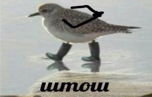 Скрины из соцсетей&nbsp;&nbsp;&nbsp;&nbsp;&nbsp;&nbsp;&nbsp;&nbsp;&nbsp;&nbsp;&nbsp;&nbsp;