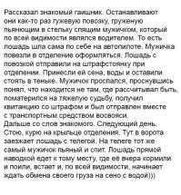 Заходи, поржОм