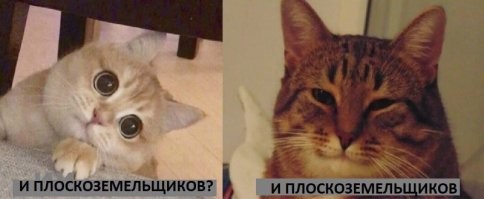 Заходи, поржОм