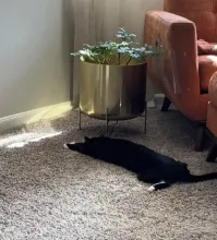 17 запутанных кадров, которые не поймёшь с первого раза