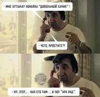 Они разрушат вашу квартиру и превратят привычную жизнь в ад: анти-топ пород кошек для новичка