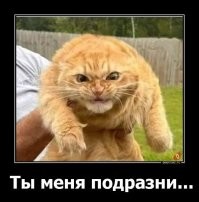 Самый угрожающий и опасный кусь был снят на видео