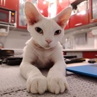 Мой