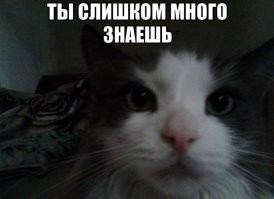 Громкое разоблачение: мужчине предлагали $2 миллиарда за молчание об инопланетянах