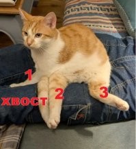 3. Может с меньшим?