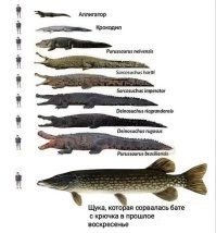 Скрины из соцсетей&nbsp;&nbsp;&nbsp;&nbsp;&nbsp;&nbsp;&nbsp;&nbsp;&nbsp;&nbsp;&nbsp;&nbsp;