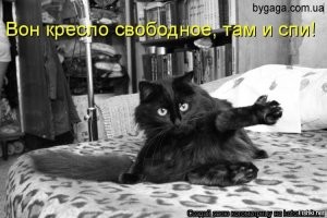 Кто успел, тот и сел