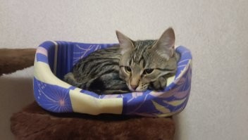 Мой мудрец.