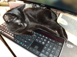 вот просто отвали! я занят!