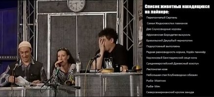 Паукообразный кузнечик: поставил на уши джунгли и насаживает добычу на шипы, словно шашлык