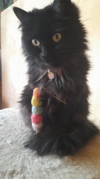 20+ гордых котиков, которые осознают своё величие и с удовольствием его демонстрируют