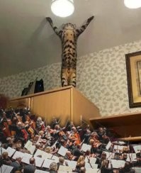 &nbsp;Намешалось&nbsp;